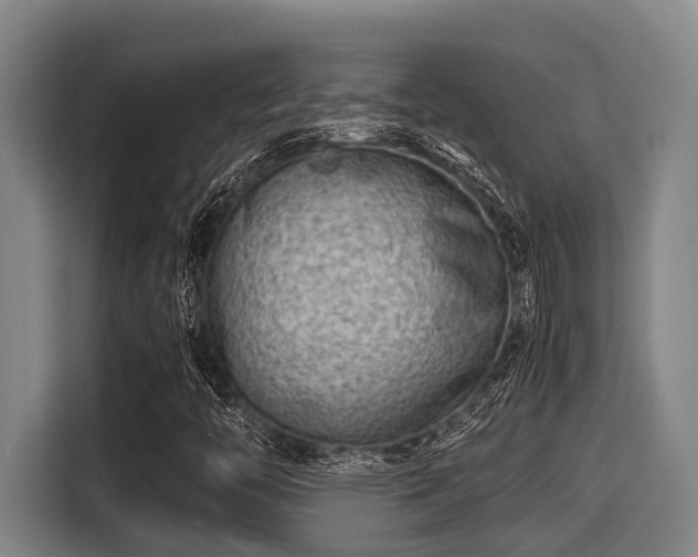 X0000115371446200911101237