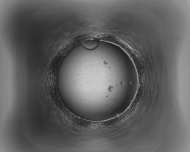 X0000115371447200911101237