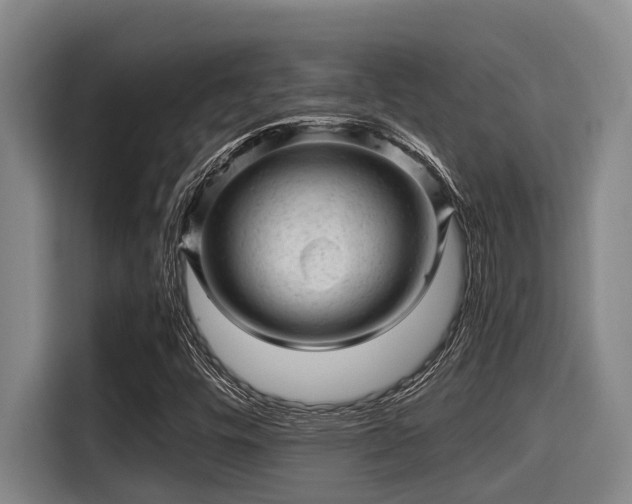 X0000115371448200911101237