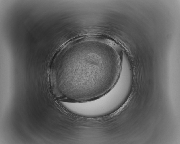 X0000115371449200911101237
