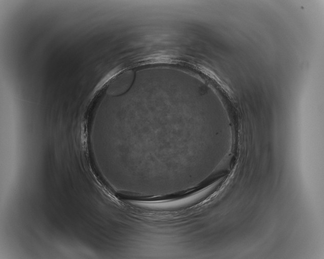 X0000115371450200911101237