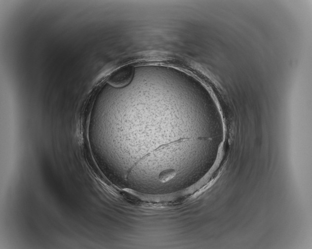 X0000115371451200911101237