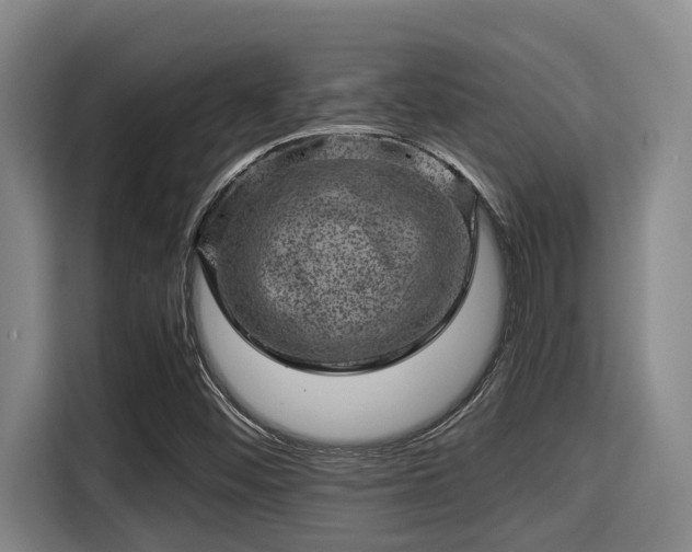 X0000115371452200911101237