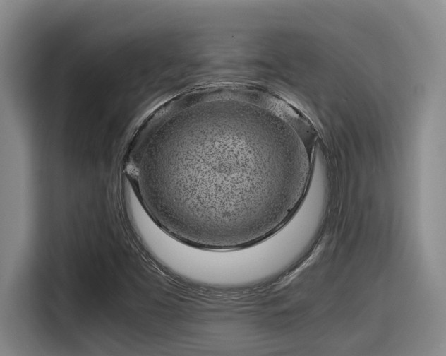 X0000115371453200911101236