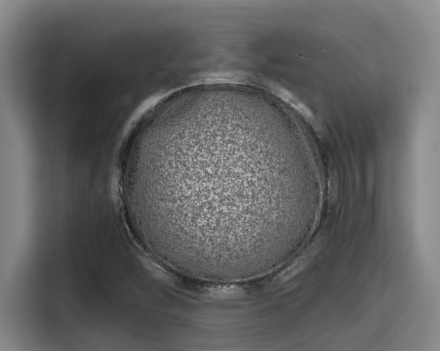 X0000115371454200911101236
