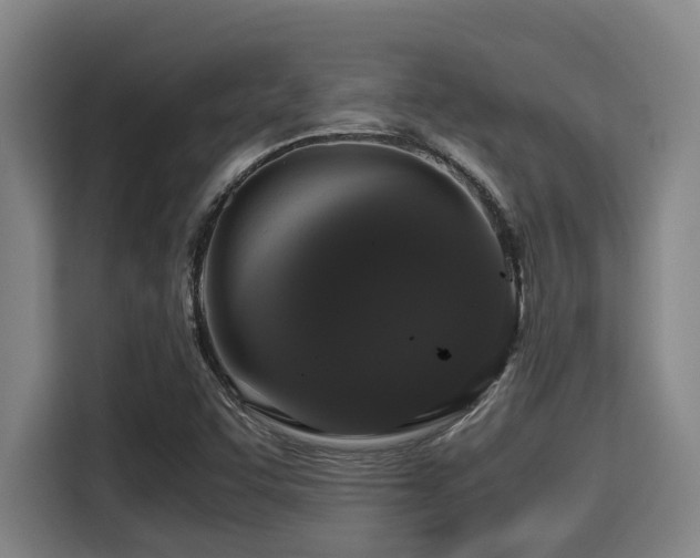 X0000115371455200911101236