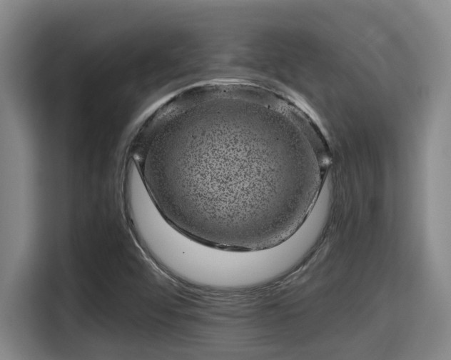 X0000115371456200911101236