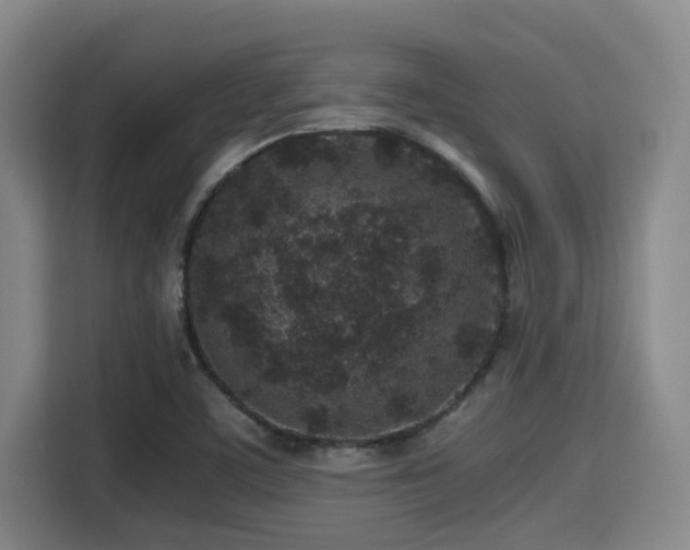 X0000115371459200911101236