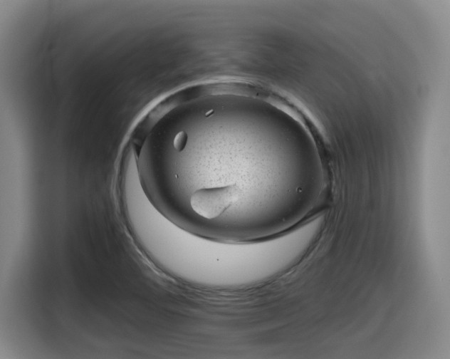 X0000115371460200911101236