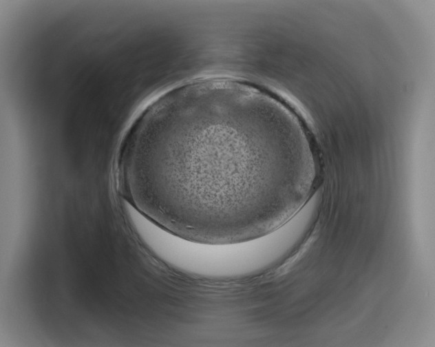 X0000115371461200911101236