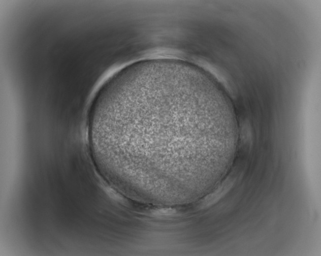 X0000115371462200911101236