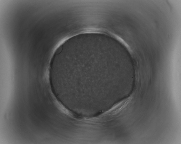 X0000115371463200911101236