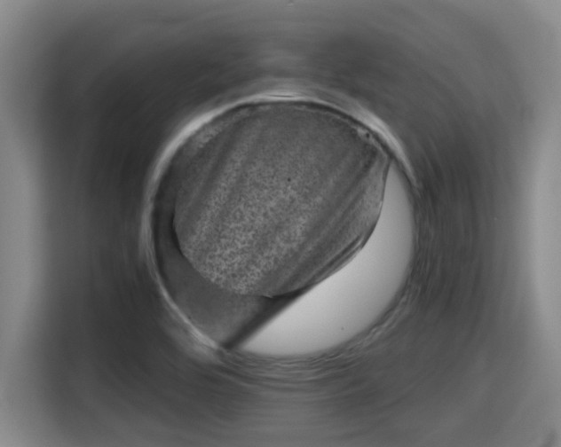 X0000115371464200911101236