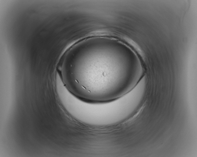 X0000115371465200911101236