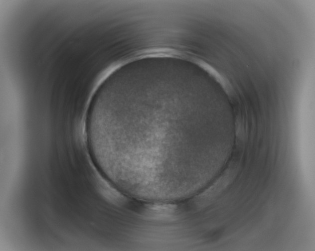 X0000115371466200911101236