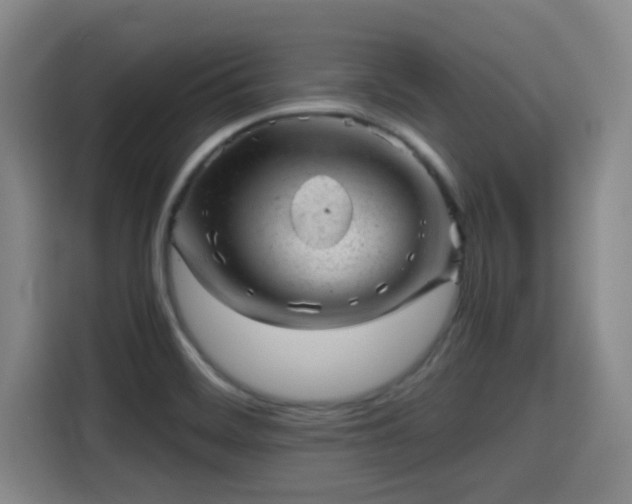 X0000115371468200911101236