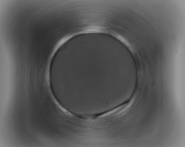 X0000115371469200911101236