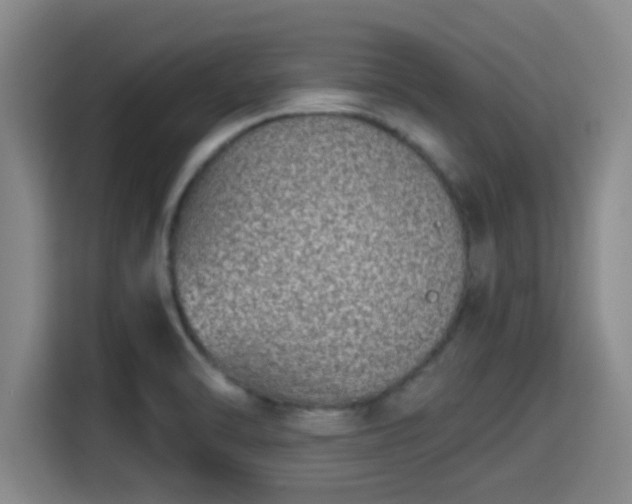 X0000115371470200911101236