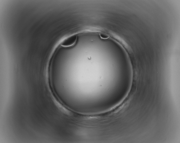 X0000115371471200911101236