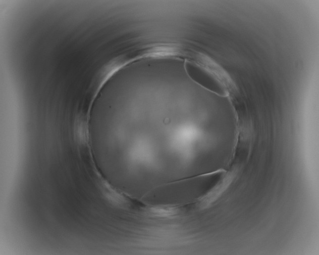 X0000115371473200911101236