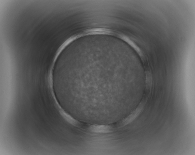 X0000115371474200911101236