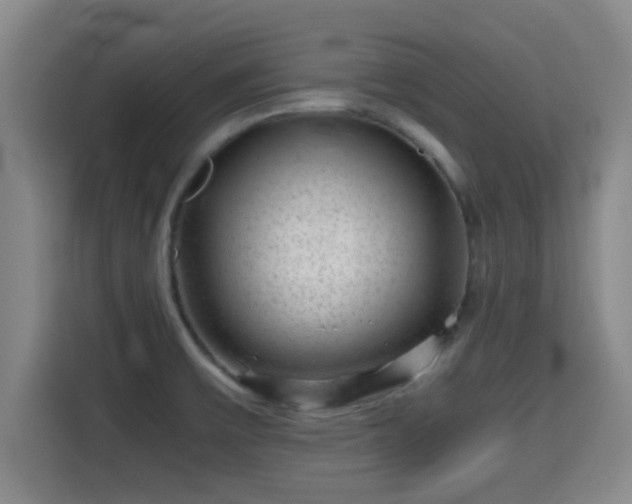 X0000115371475200911101236