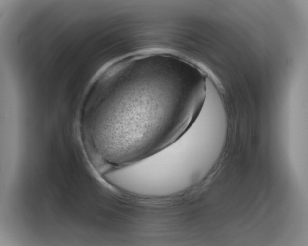 X0000115371476200911101236