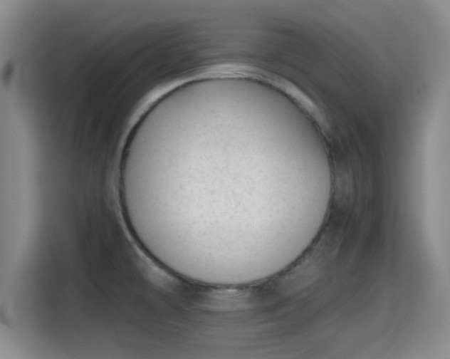 X0000115371478200911101236