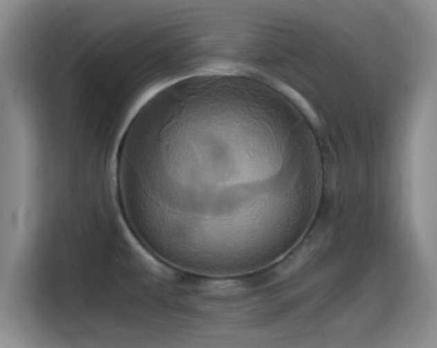 X0000115371479200911101236