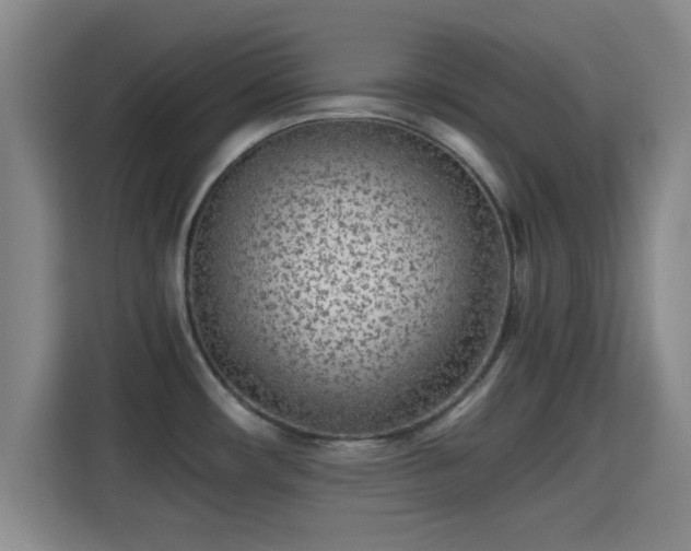 X0000115371482200911101236