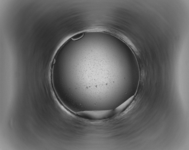X0000115371484200911101236