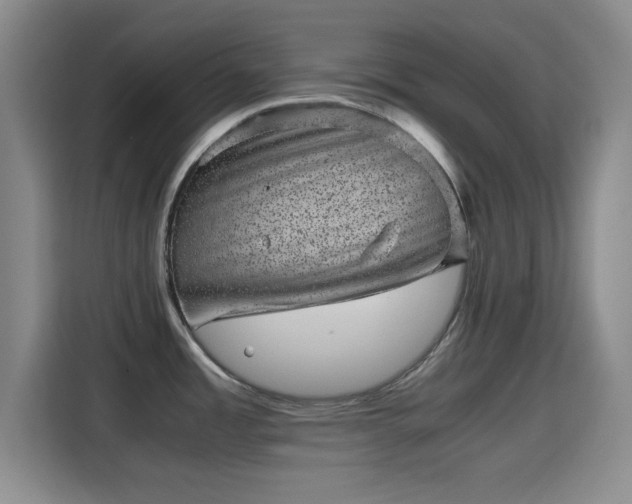 X0000115371485200911101236