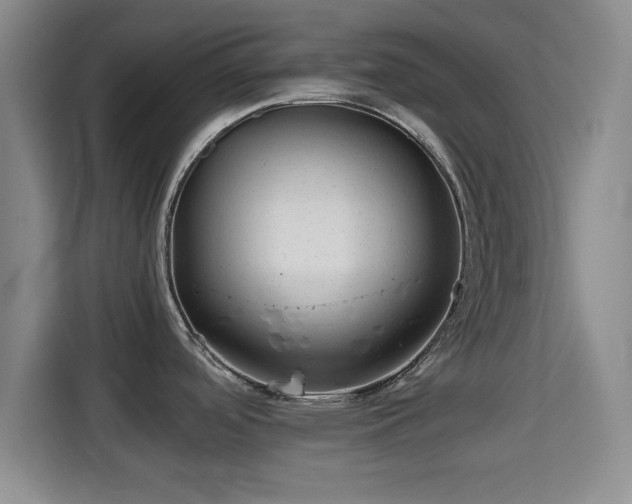 X0000115371488200911101236