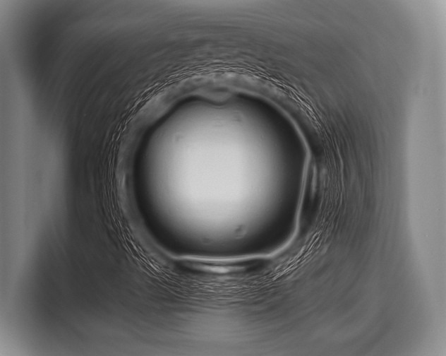 X0000115371489200911101235