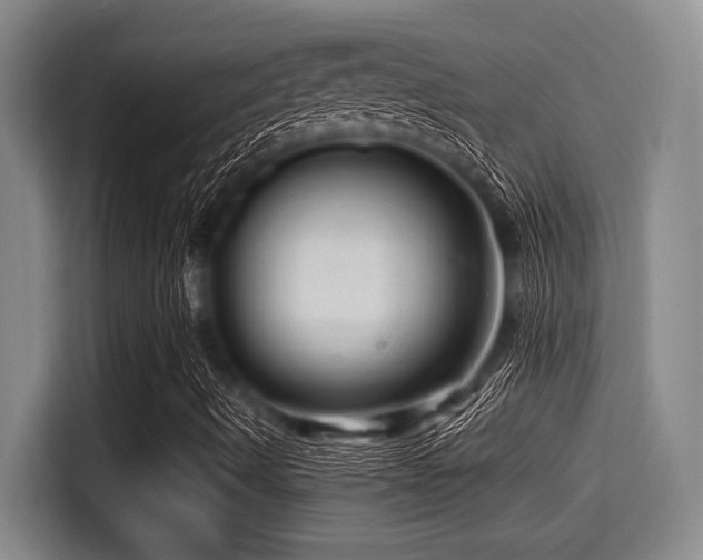 X0000115371490200911101235