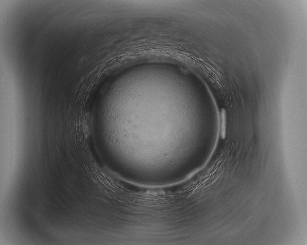 X0000115371491200911101235