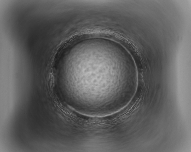 X0000115371493200911101235