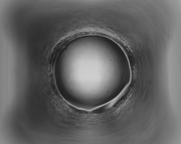 X0000115371494200911101235