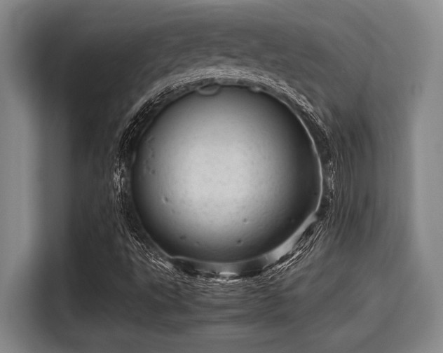 X0000115371495200911101235
