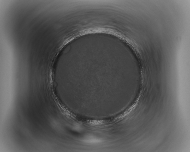 X0000115371497200911101236