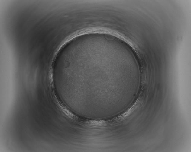 X0000115371498200911101236