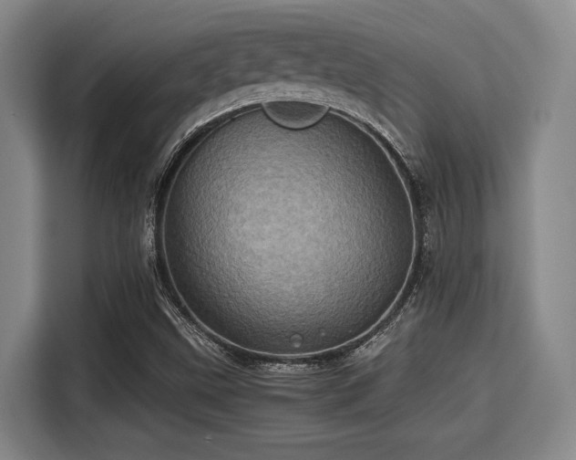 X0000115371499200911101236