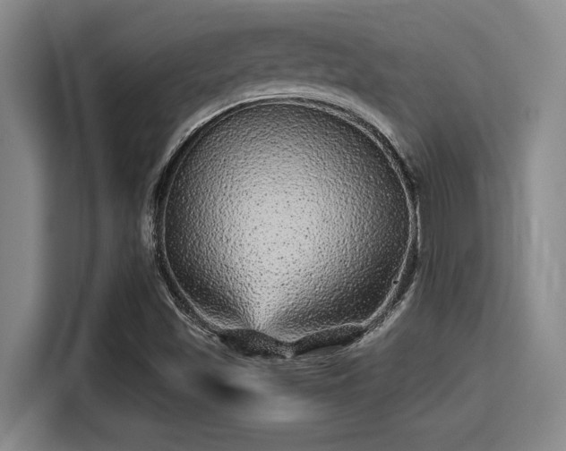 X0000115371501200911101236