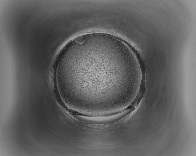 X0000115371502200911101236