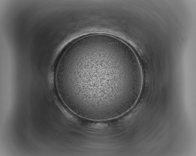 X0000115371503200911101236