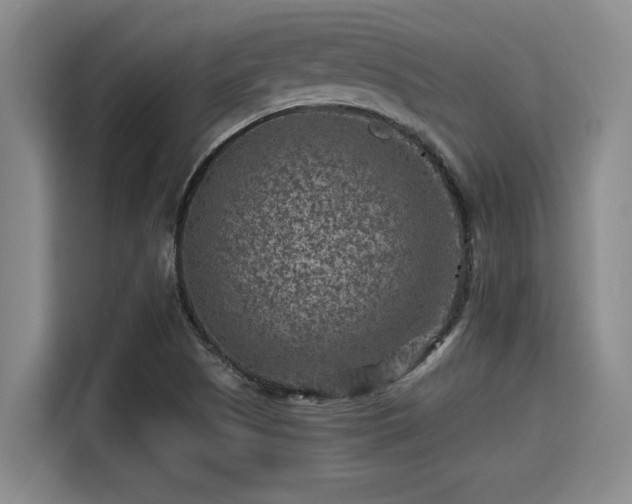 X0000115371505200911101236