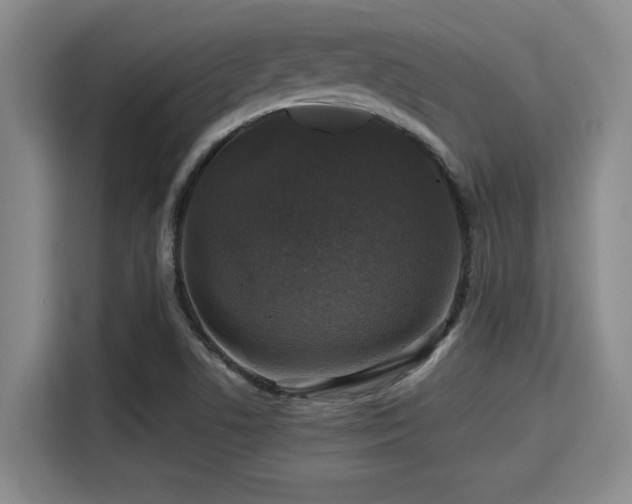 X0000115371506200911101236