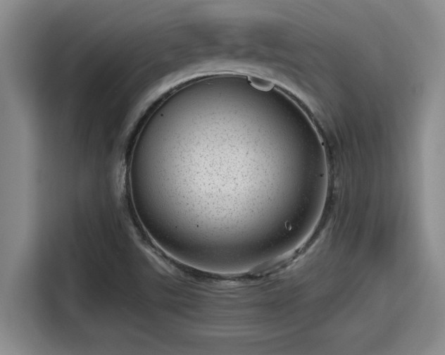 X0000115371507200911101236