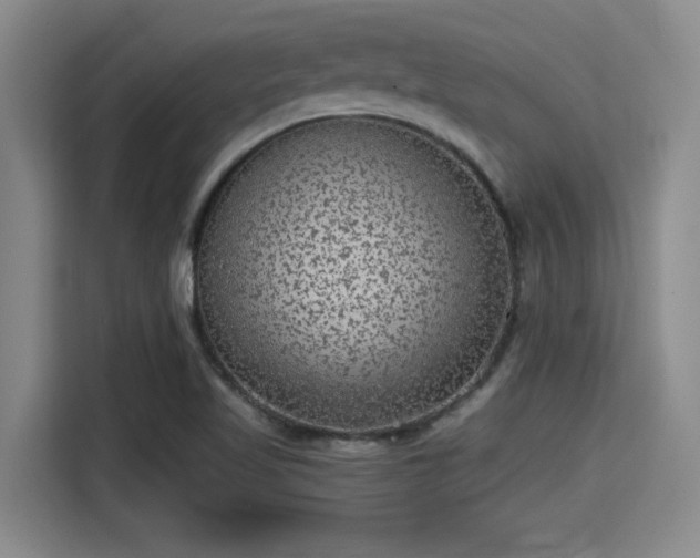 X0000115371509200911101236