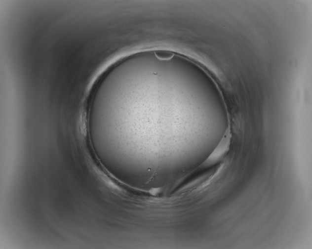 X0000115371510200911101236